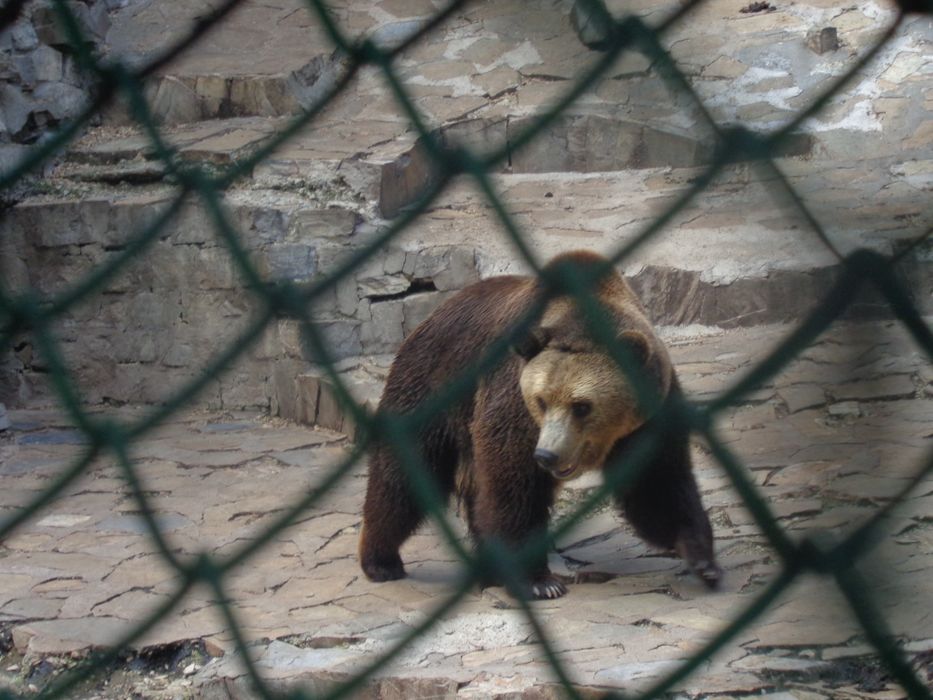 Фотоапарат Sony DSC-W730