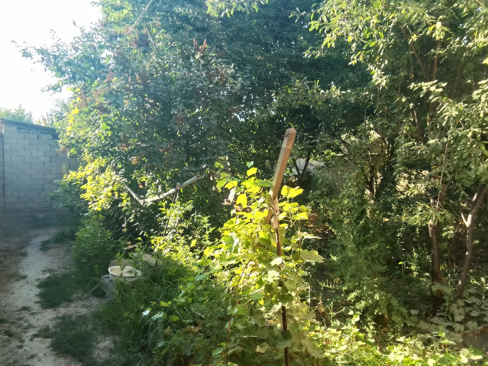 Xovli ijaraga beriladi yosh oilaga