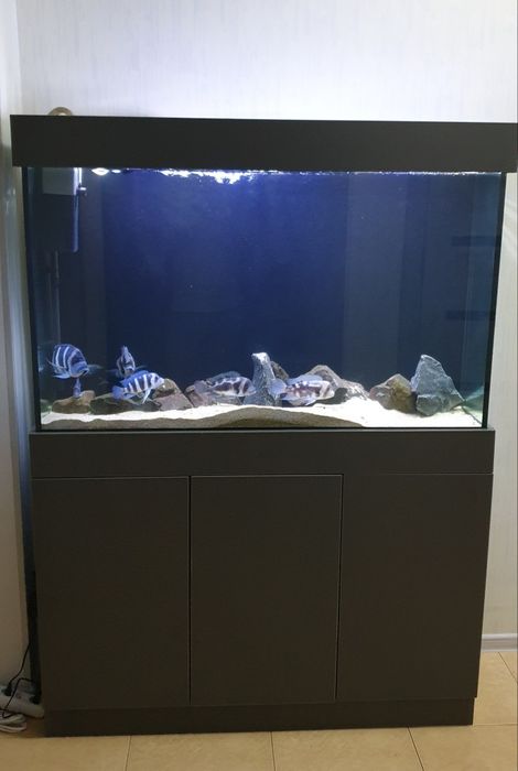 330 litr akvarium sotiladi