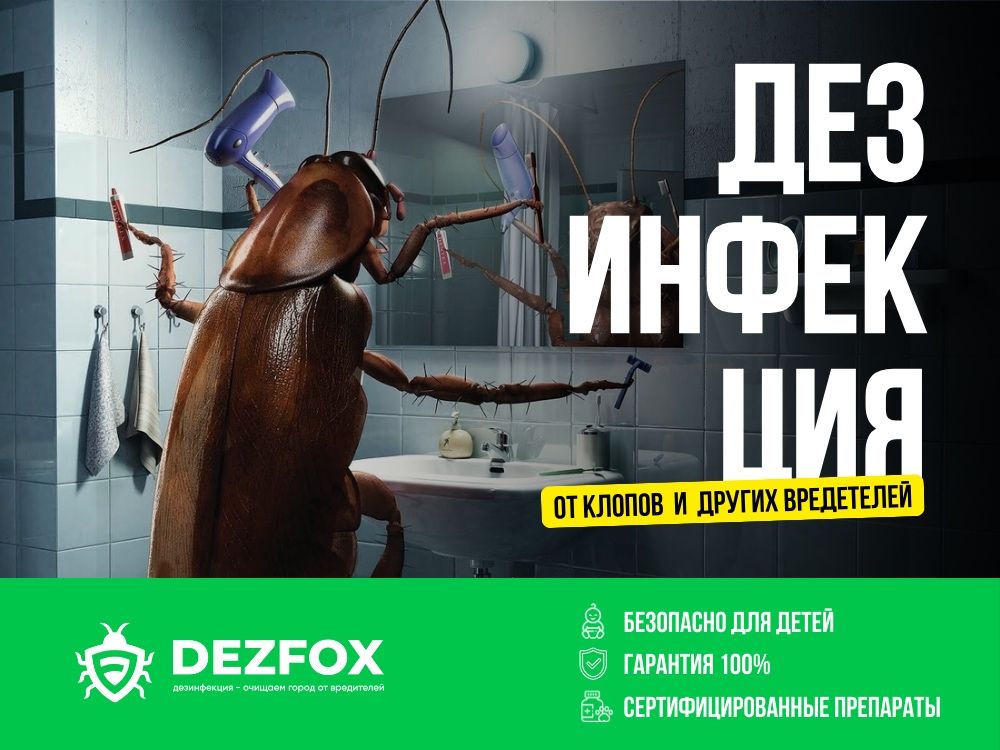Дезинфексия Уничтожение Клопов От Тараканов Крыс Мышей В Доме Кафе