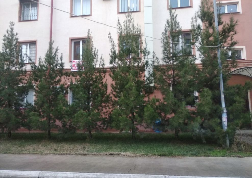 Obod makon 2/4/5 kvartira srochno sotiladi
