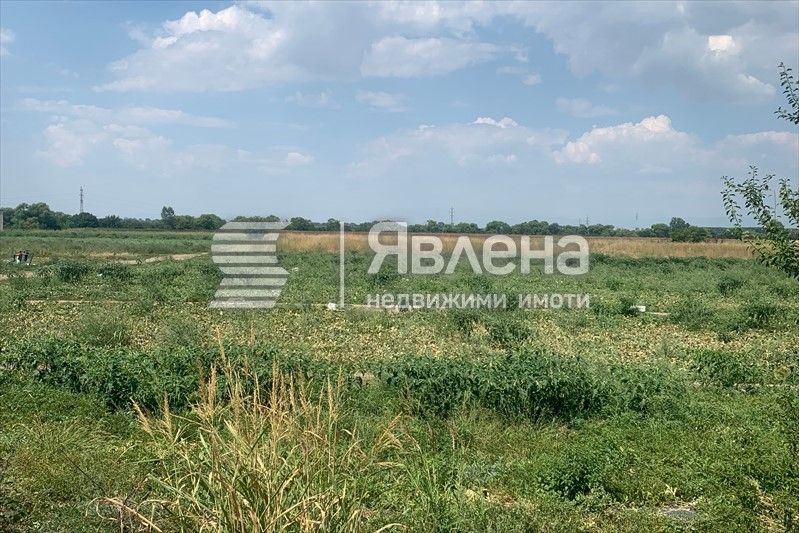 УПИ в село Чешнегирово