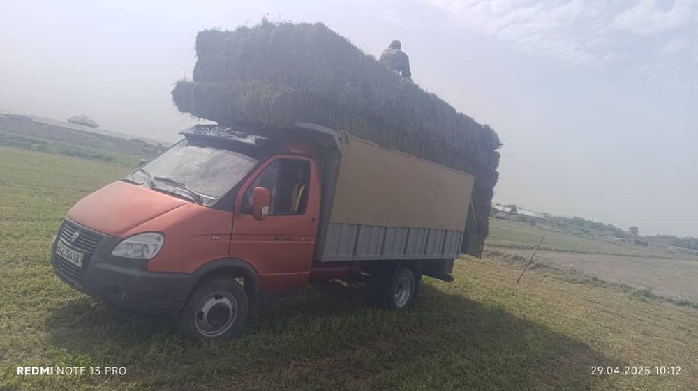 Газель сотилади холати яхши