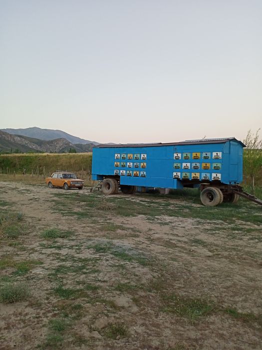 Продам пчелоприцеп