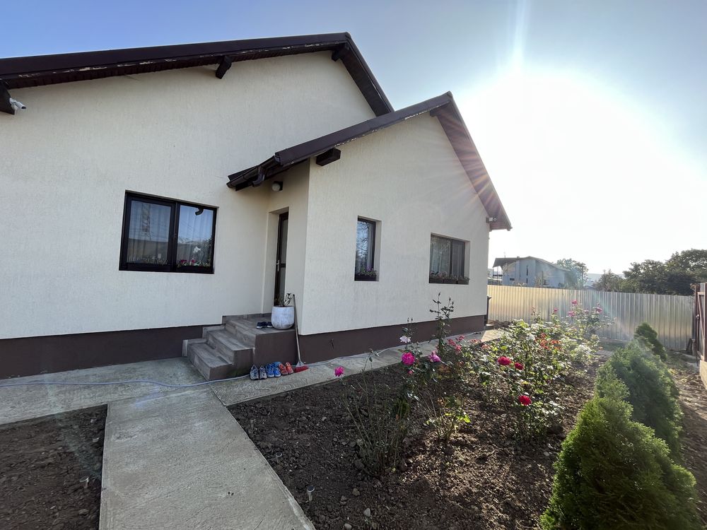 Proprietar / casa Letea Veche