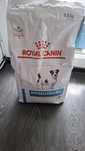Royal canin hypoallergenic