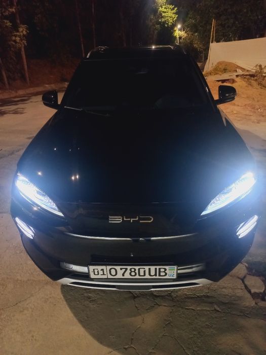 BYD champion song plus  ev