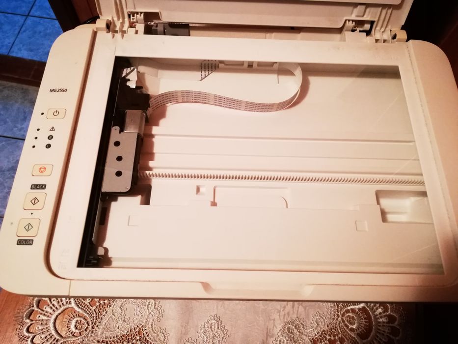 Imprimantă Canon MG2550