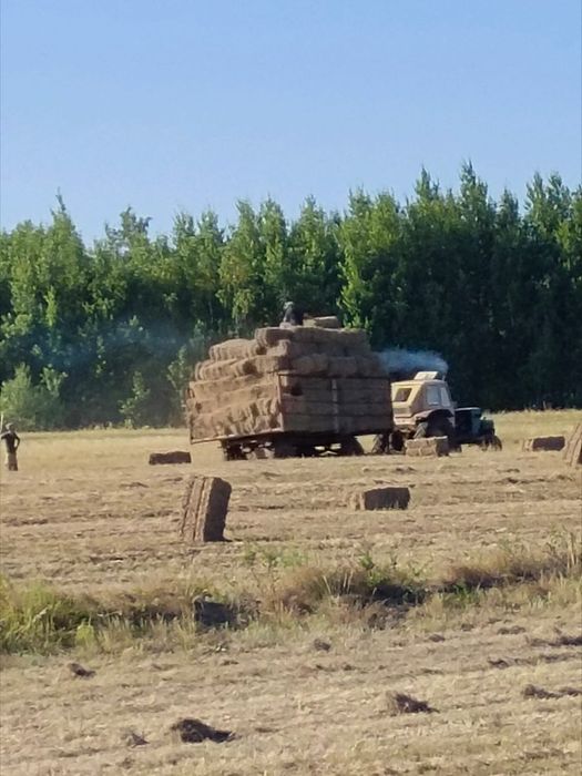 трактор ЮМЗ.         .