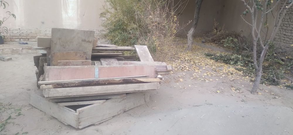 Тахтала одинлик олма касилган, арик касилган