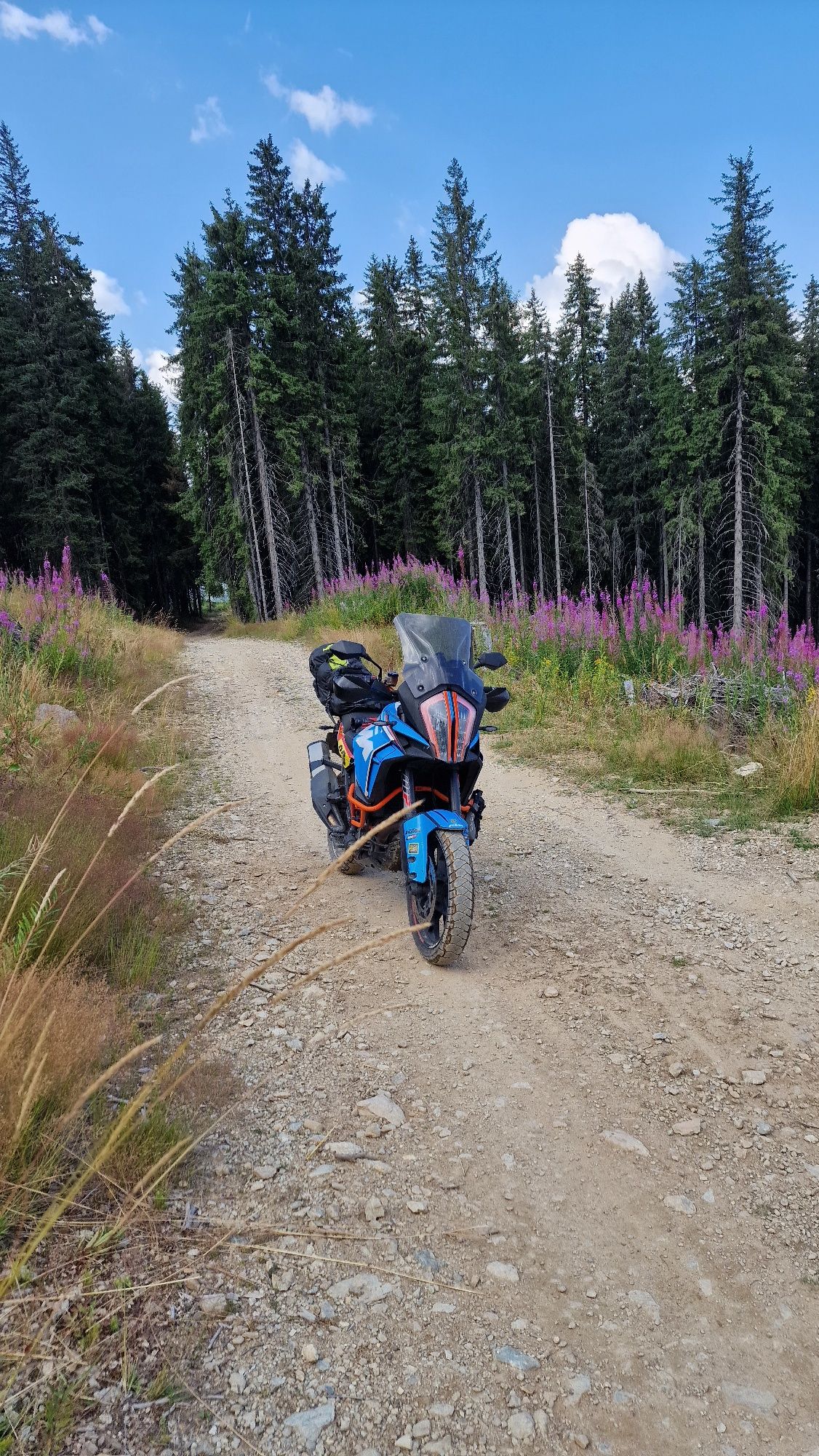KTM 1290 Super Adventure S - prim proprietar