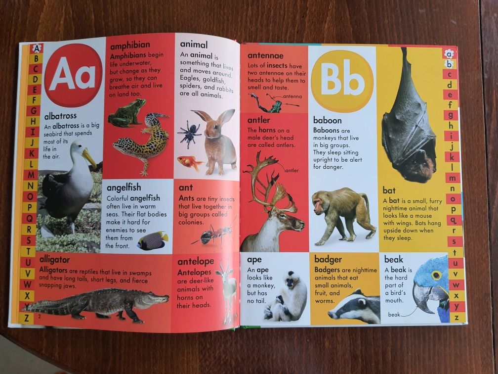 Чисто нов Детски картинен речник- английски