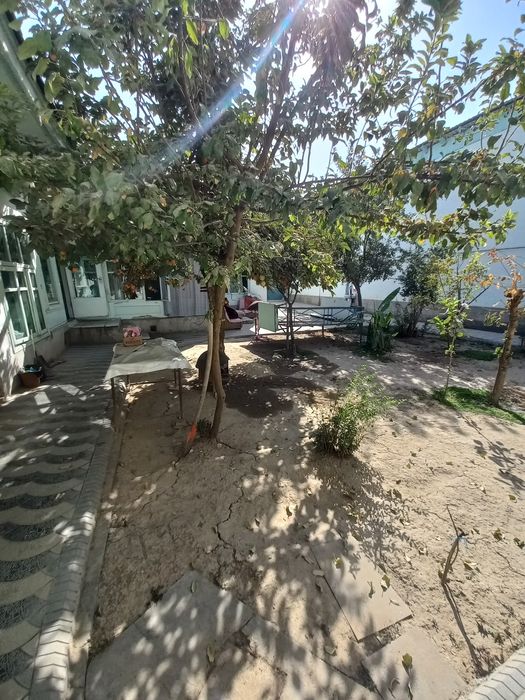 Yakkasaroy Glinka taraf mo'ljal:8-roddom restoran Mayami 3.97-sotok