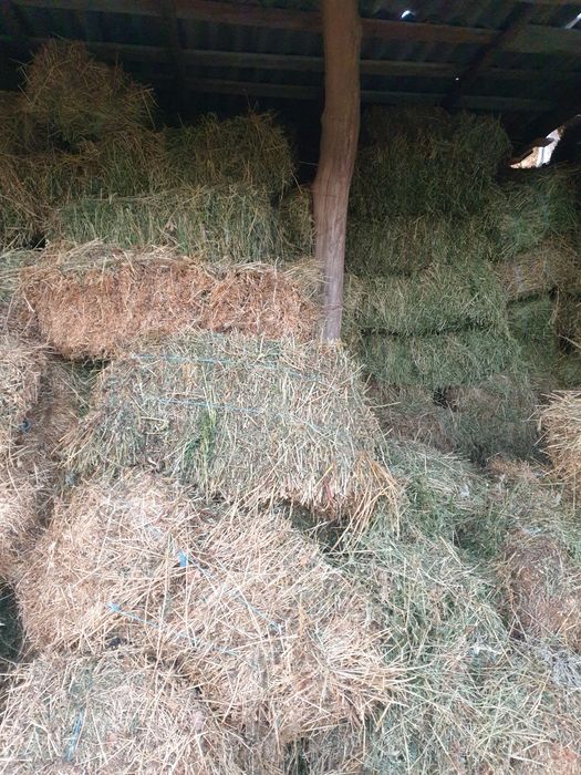 Dau baloti  coasa a doua și a 3