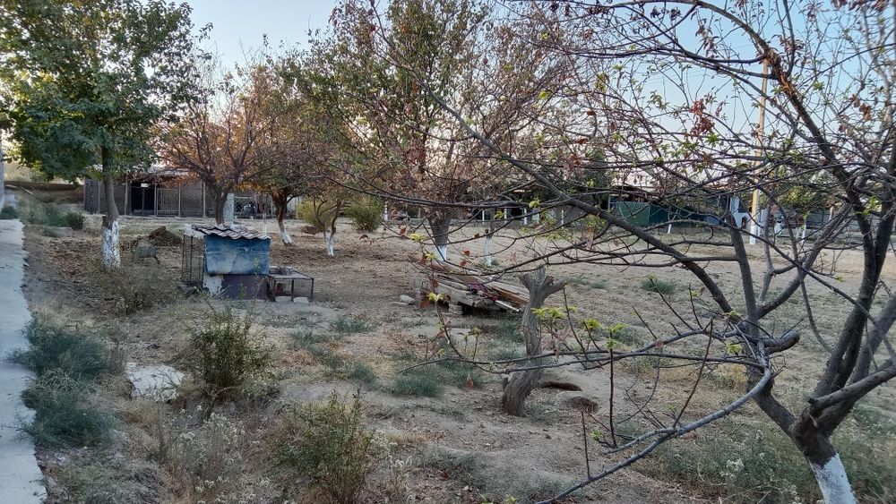 Termiz tumanida yer sotiladi kelishamiz