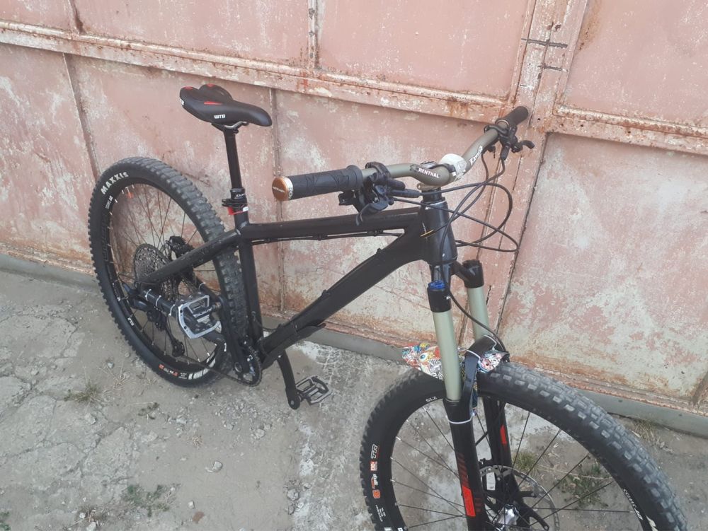 Dartmoor hornet (custom) 27.5