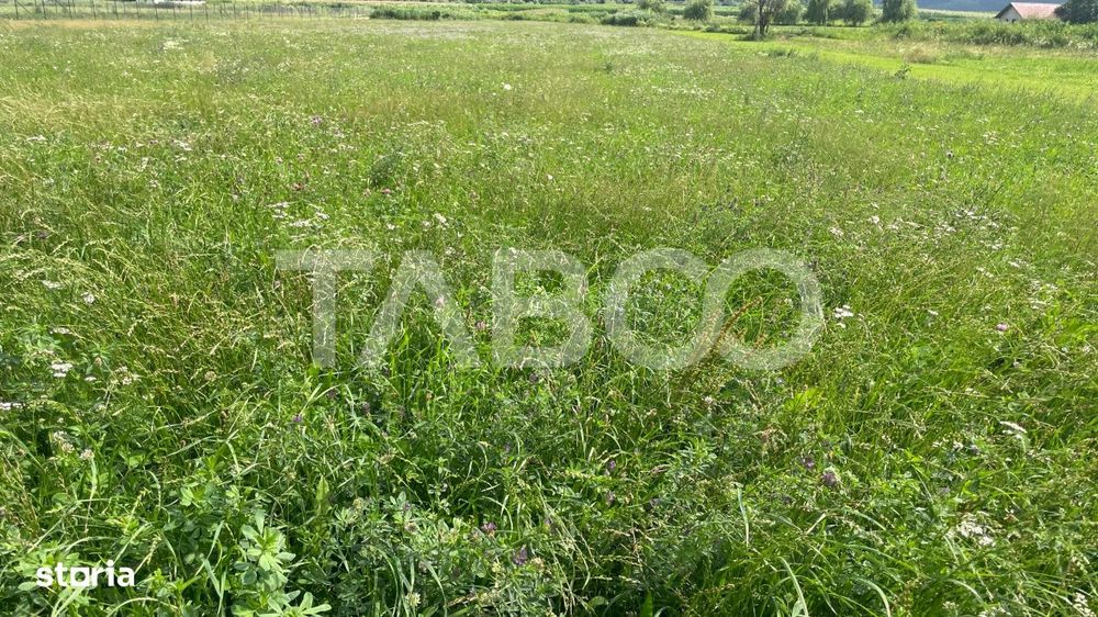 Teren intravilan 3450 mp Boita, 35 m deschidere, la 700 m de A1