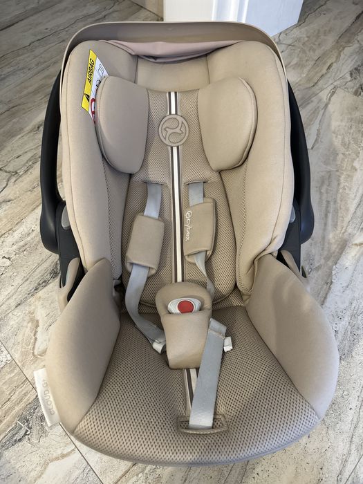 Scoica cybex gold