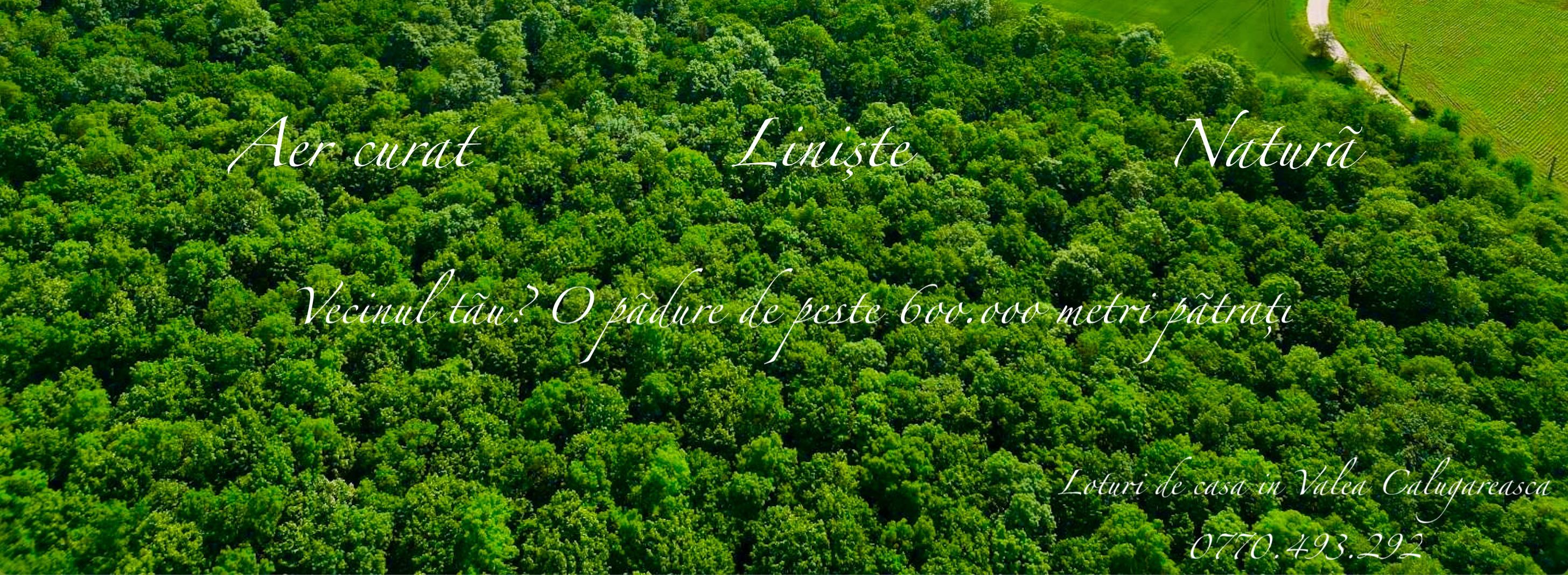 PROMOTIE -15%! Loturi Valea Calugareasca langa padure,utilitati. RATE!