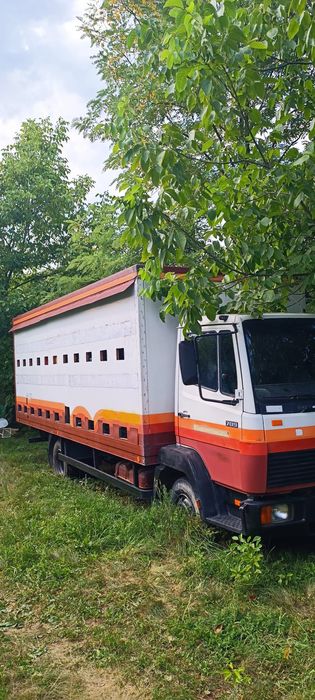 Camion apicol de vânzare