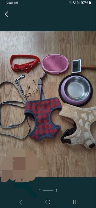 Articole pentru animale de companie mpanie