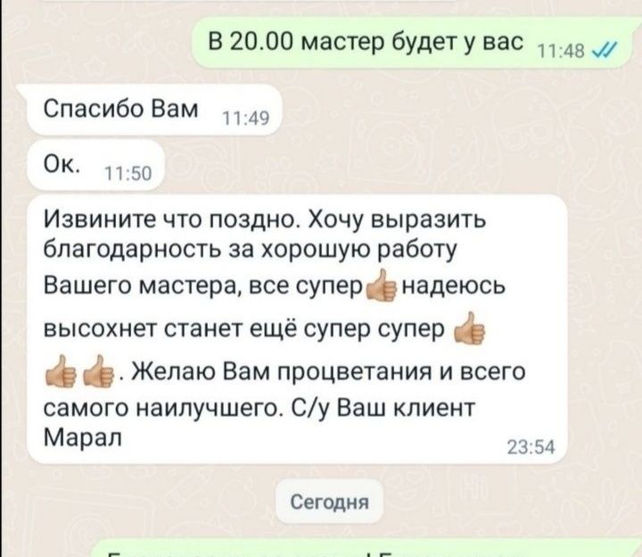 Аренда моющего пылесоса прокат моющего пылесоса чистка мебели диванов