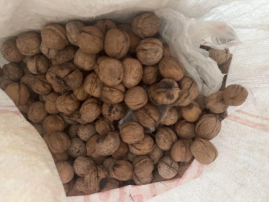 Продам грецкий орех 1500