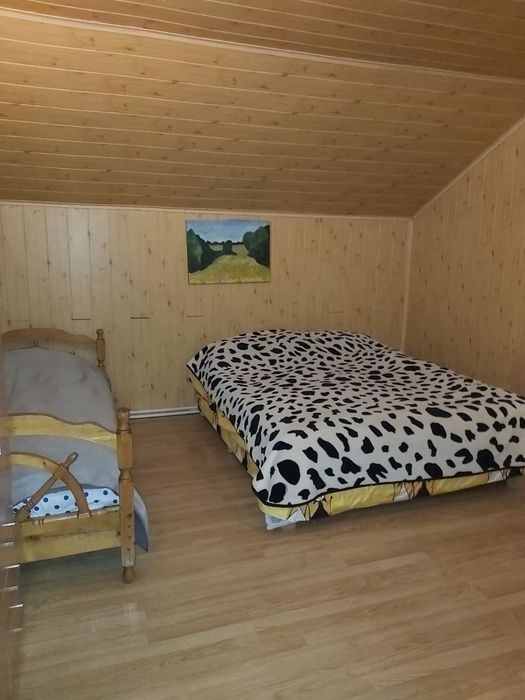 Vila la munte de inchiriat pentru revelion