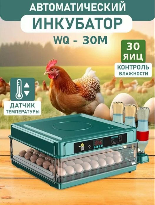 Inkubator sotiladi zavatskoy toʻliq avtomat