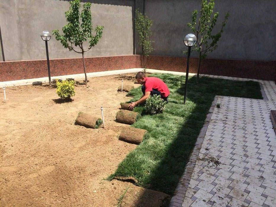 Стрижка газона и елок система полива gazon ekish rulon gazon