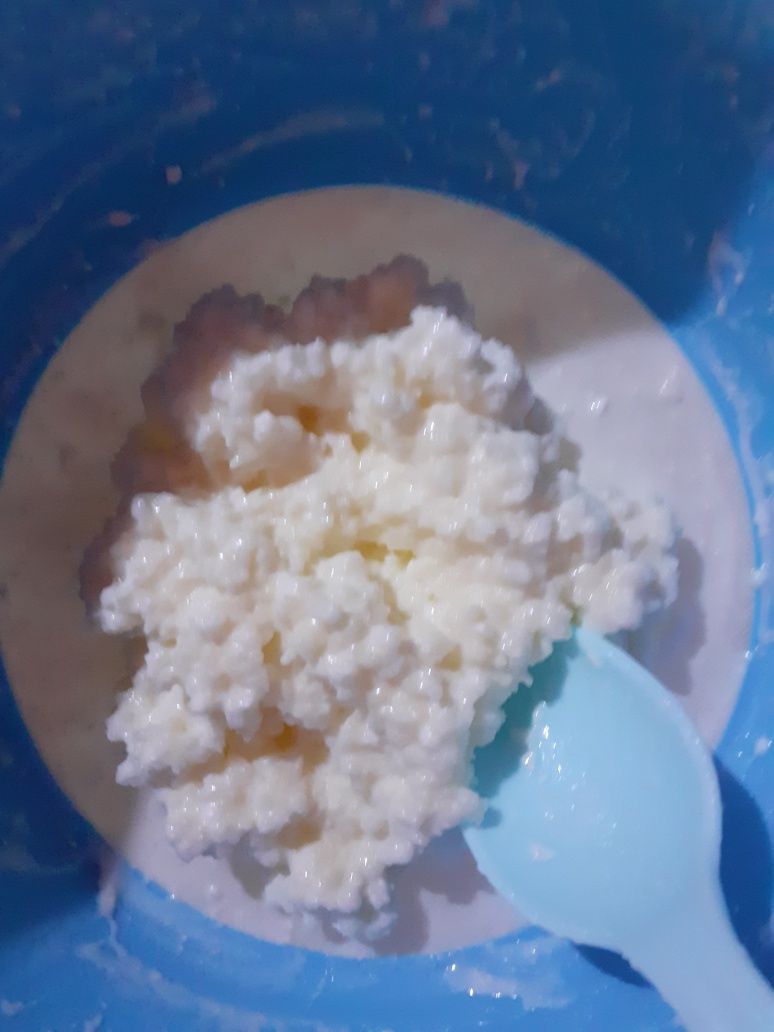 Vand ciupercă de kefir tibetană