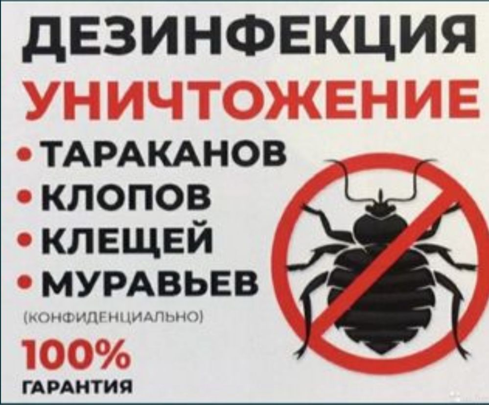 Уничтожение насекомых