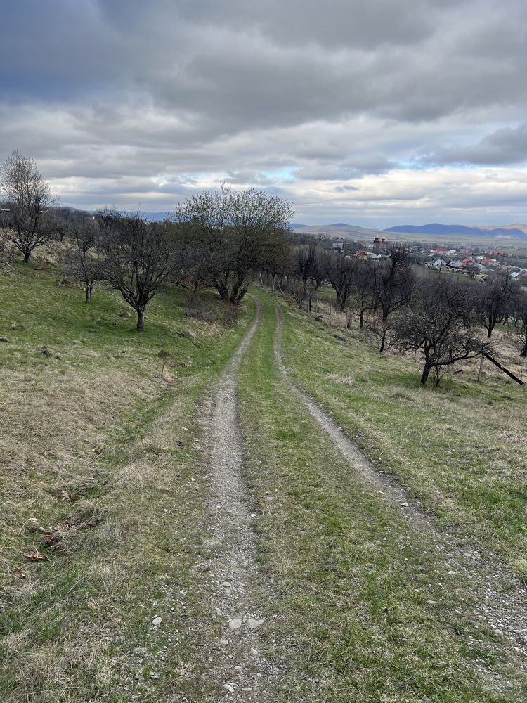 Teren intravilan Filioara