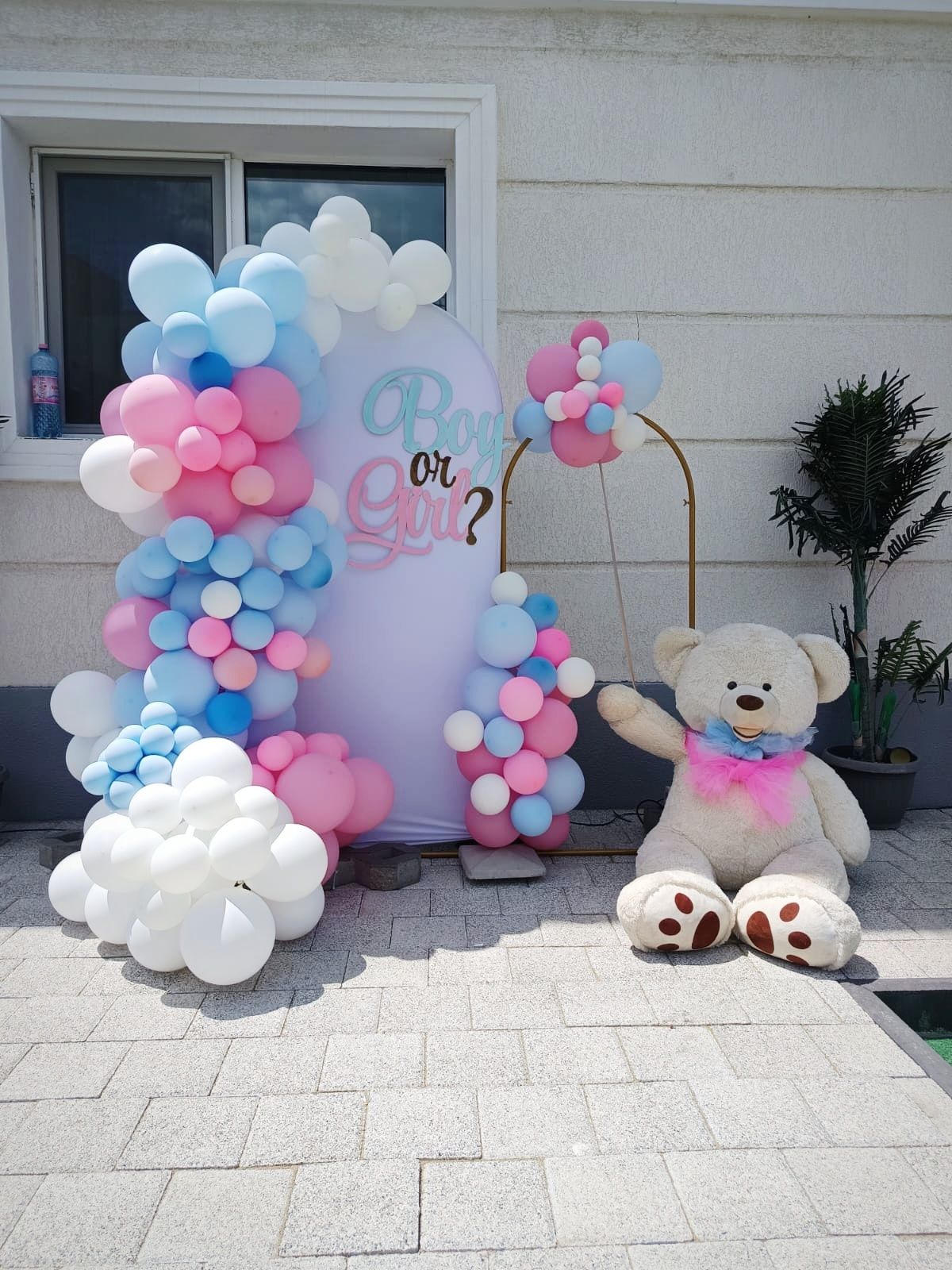 Panou Foto Evenimente/PhotoCorner/Gender/Majorat/ Aripi Gigant/