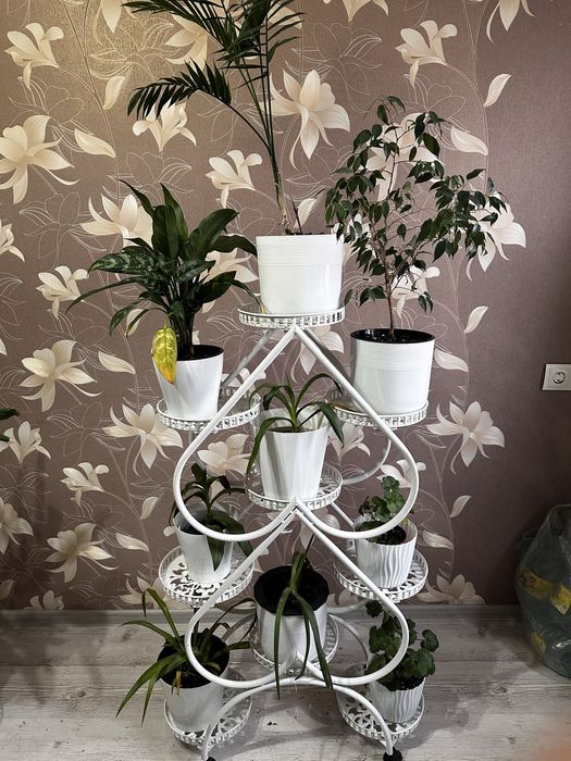 Этажерки вместе с растениями