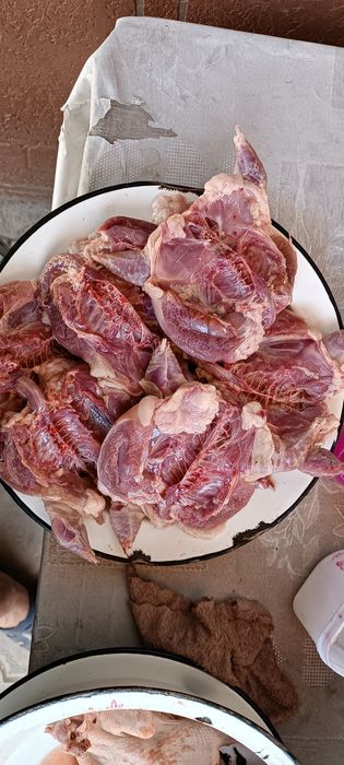 Продаётся домашнее мясо перепёлки .