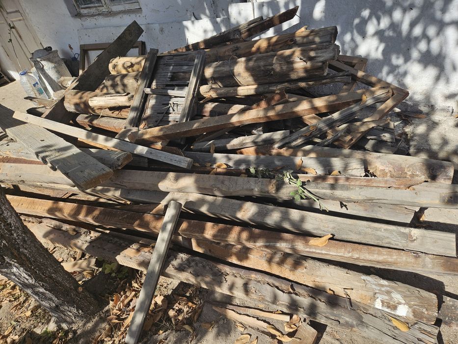 Дрова много, пеньки