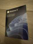Windows 11 professional
