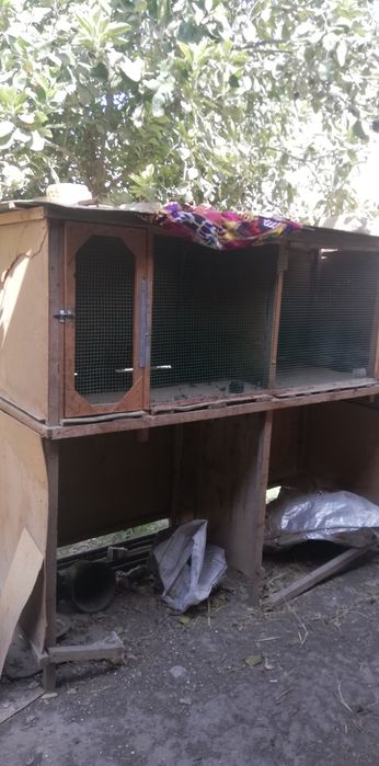 Katak Sotiladi 2xonali