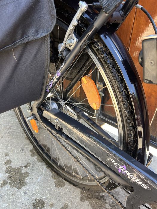 Bicicleta Pegasus Oras