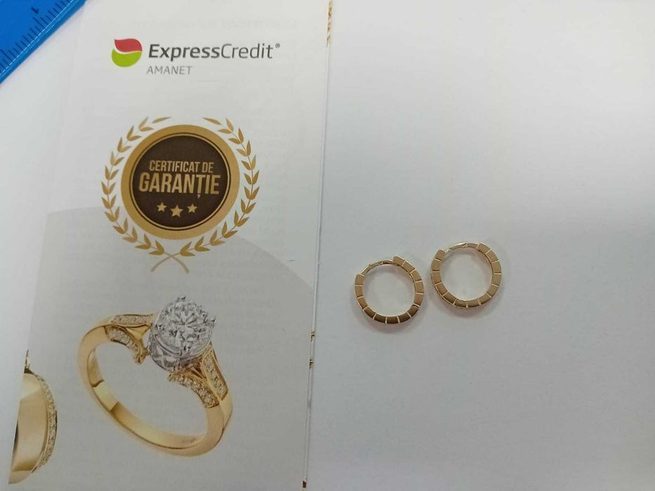 (Ag33) Cercei Aur 14K