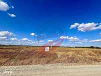 Teren 30.500 mp de vanzare in Livezi, Dolj