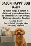 Post frizer canin