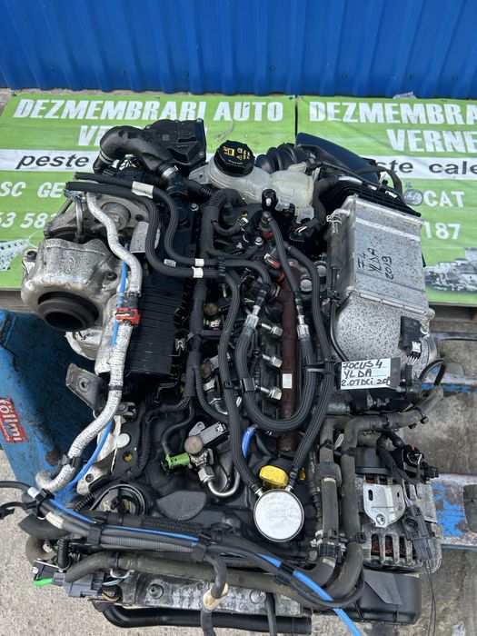 Răcitor de gaze Ford Focus 4 2.0 Tdci 2019