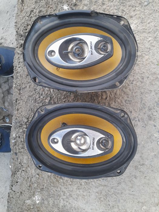 Колонии   оргинал