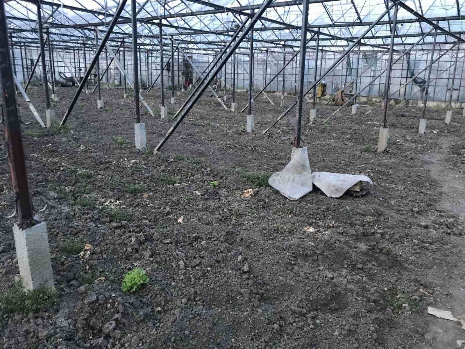 Стъклена оранжерия