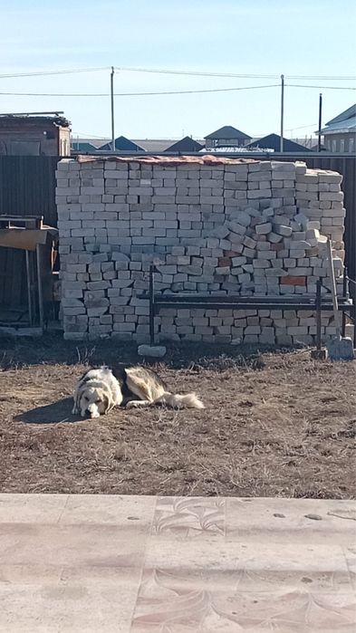 Продам Кирпич пр