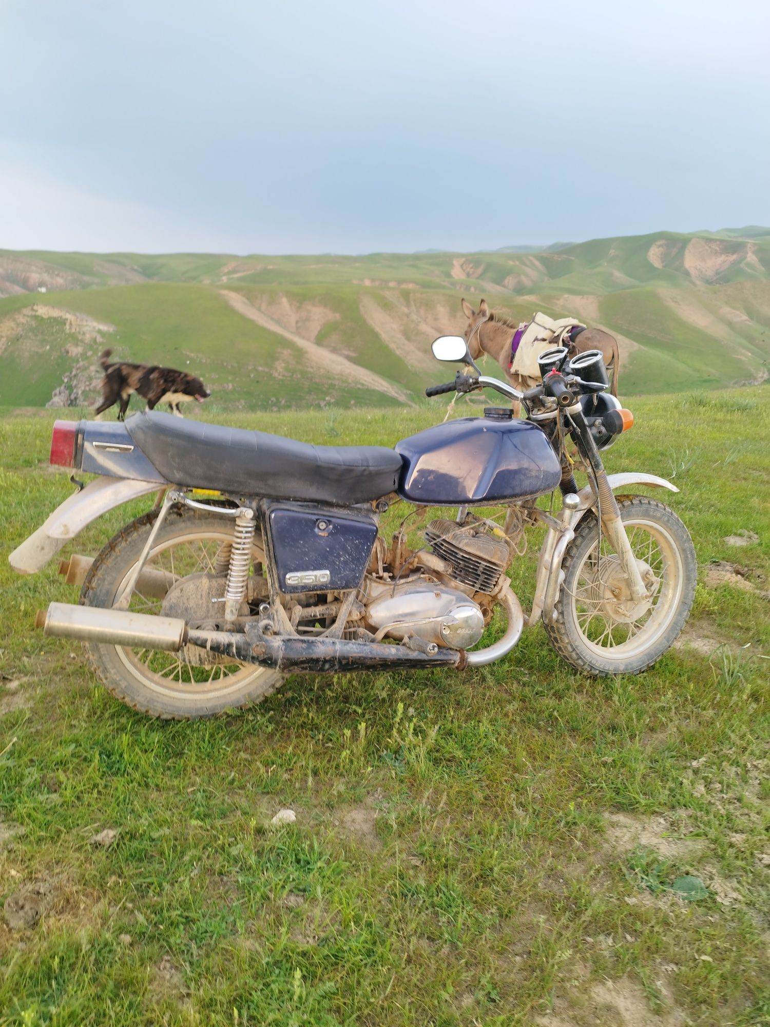 Иж планета 5 2 цлиндр