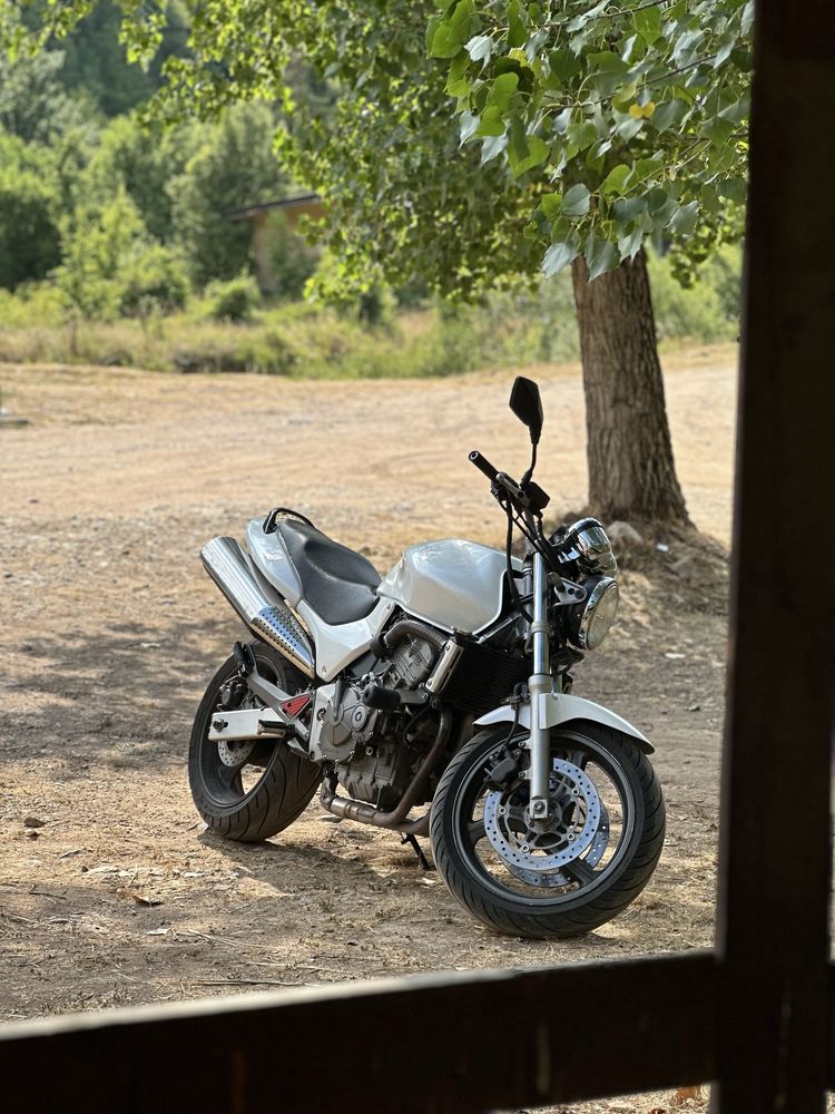 Honda hornet 600