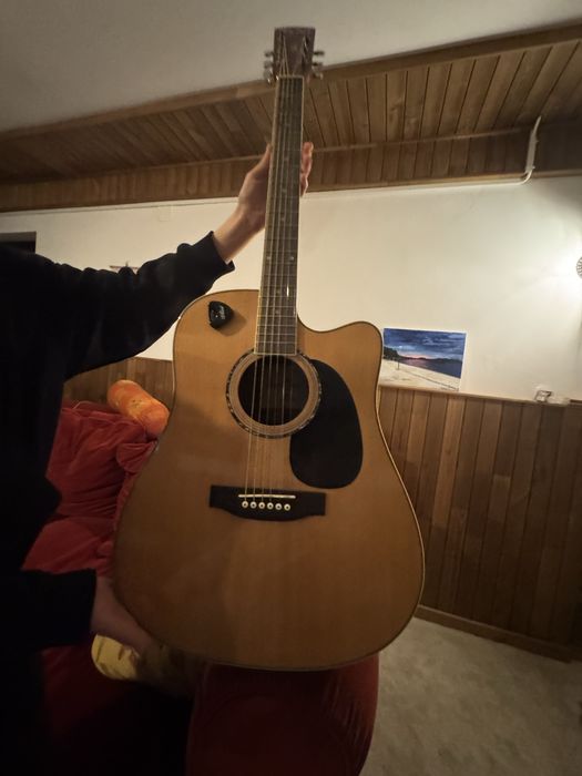 Harley Benton d120ce nt